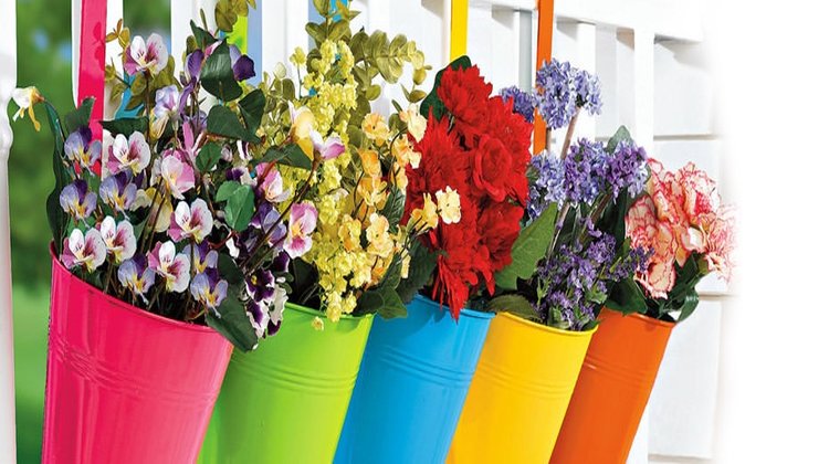 En güzel balkon çiçekleri