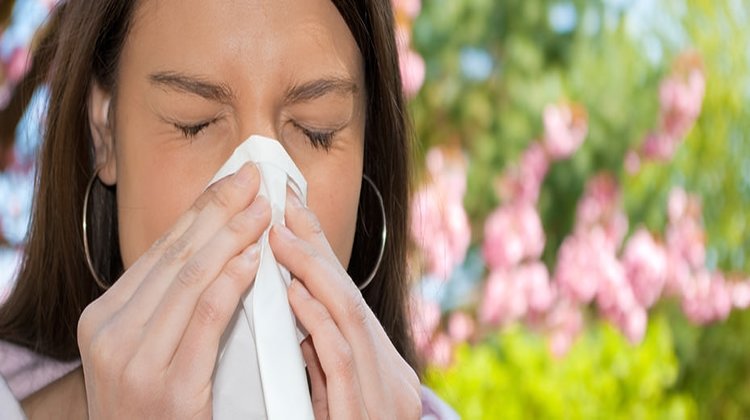 Gripten koruyan 4 bitki çayı