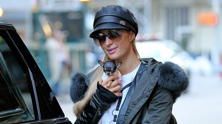 Paris Hilton'un ada tatili