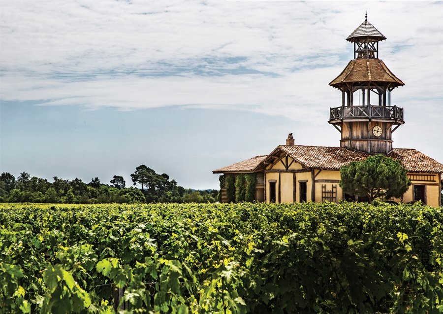 Bağların arasında