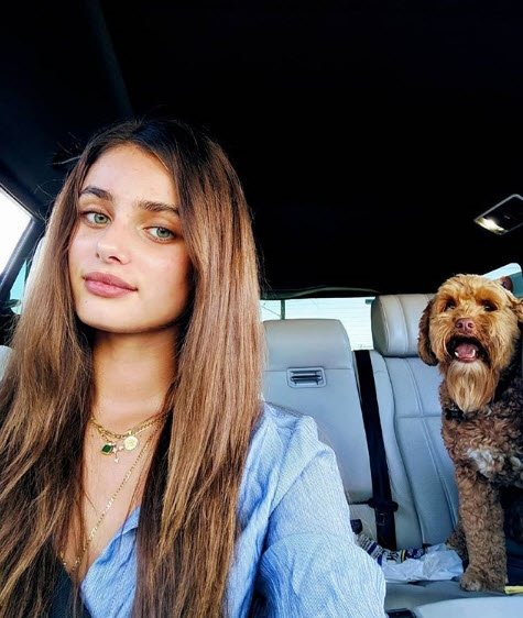 Taylor Hill'in seyahat arkadaşı