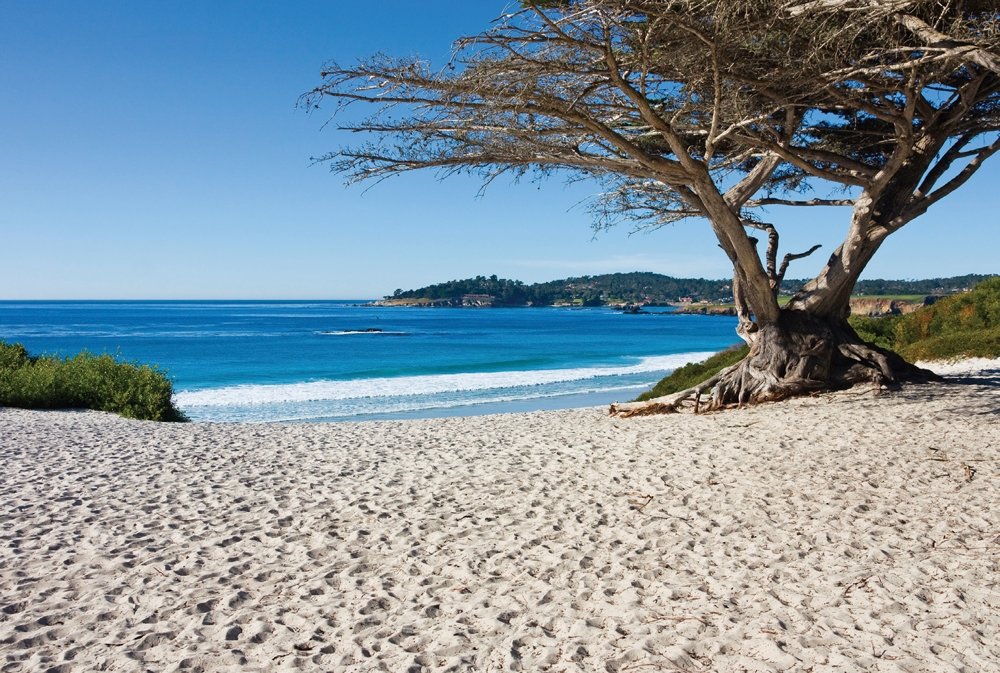 Batı Amerika'ya yolculuk