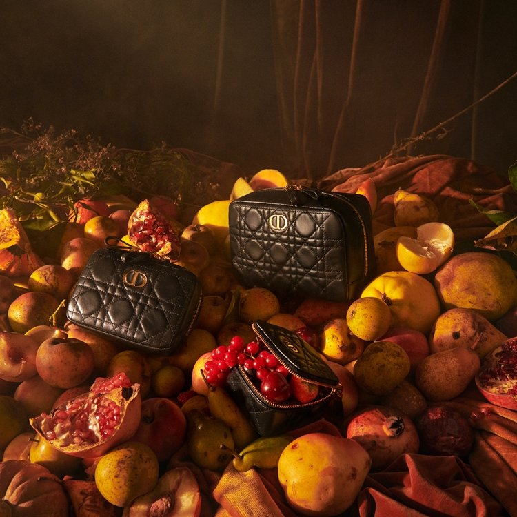 Yeni Bir Aksesuar Ailesi: Dior Caro