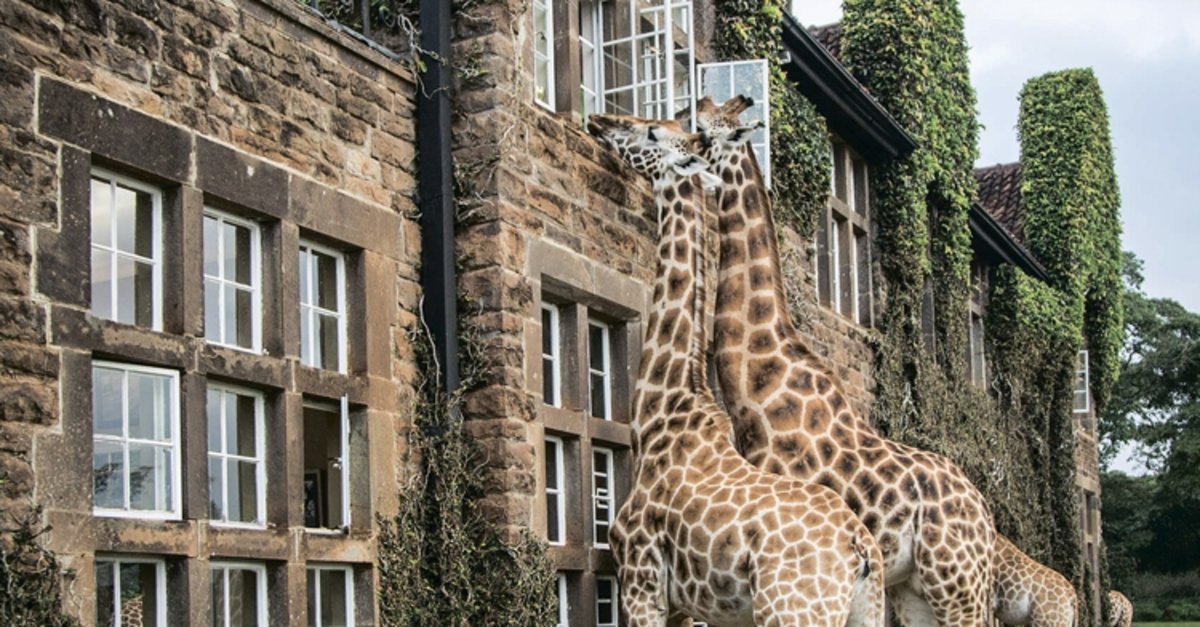 Tutkulu Gezginler İçin Keşfedilmeye Değer 100 Rota