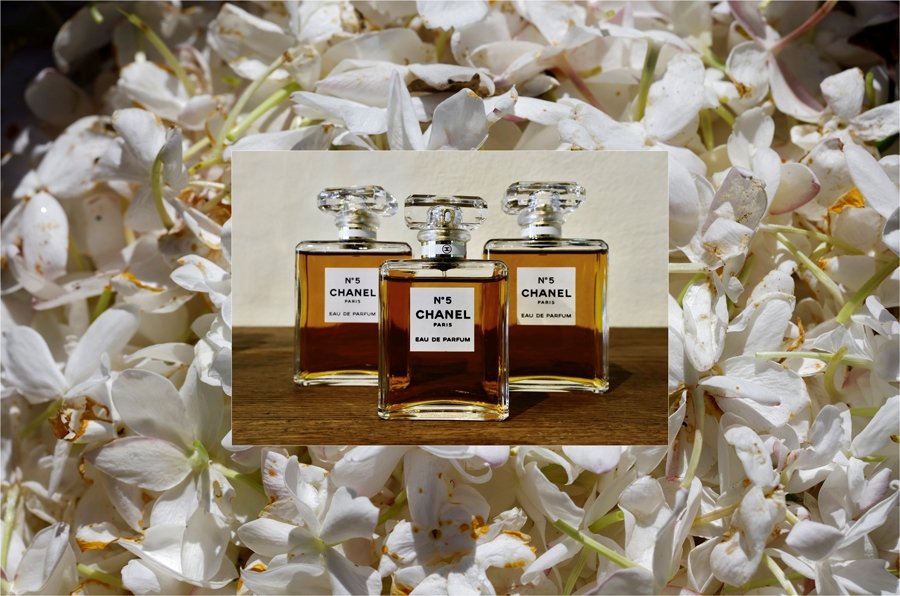 Chanel, No.5 Kokusu İçin Yasemin Tarlaları Satın Aldı