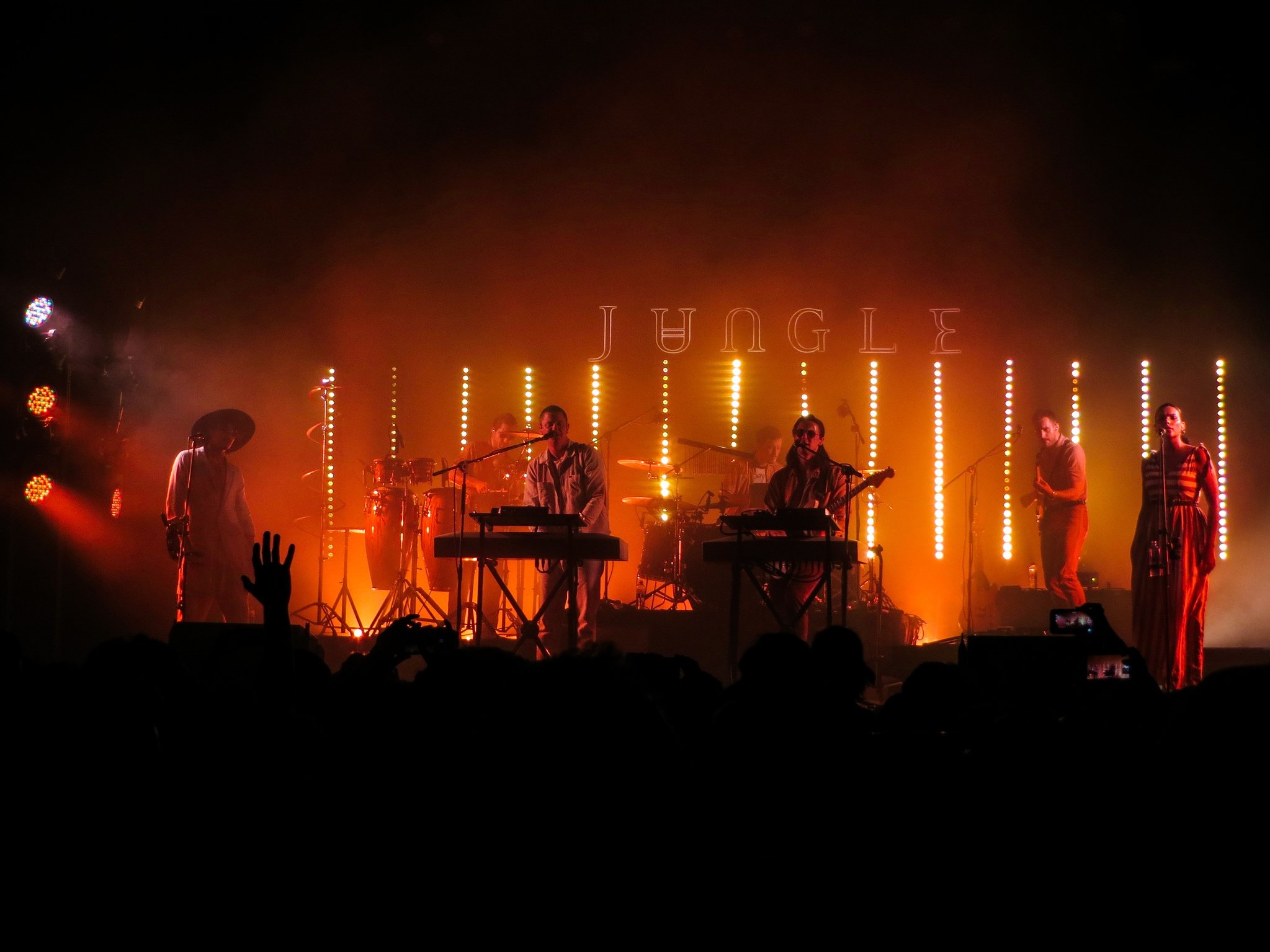 Jungle İle Tanışın